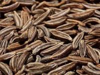 خواص زیره سیاه