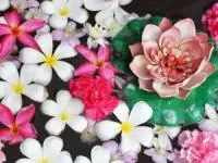 عکس پروفایل
