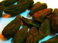 خواص هلیله سیاه