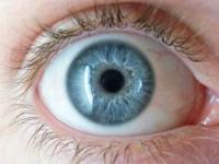 بیشترین چشم رنگی 