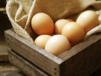 تولید تخم مرغ
