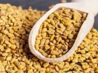 خواص تخم شنبلیله