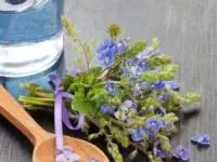 خواص عرق کاسنی