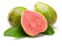 خواص گواوا