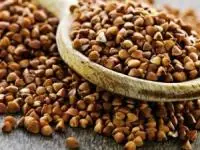خواص گندم سیاه
