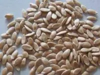 خواص تخم خیار