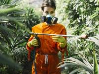 راهنمای خرید سمپاش