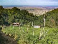 لیلا کوه