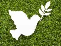 روز جهانی صلح