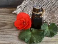 روغن ژرانیوم