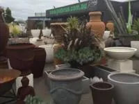 خرید گلدان مناسب