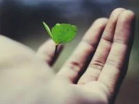 اس ام اس آرزو