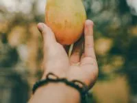 روز جهانی انبه