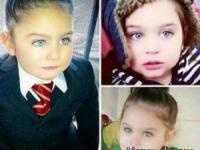 پادشاه زیبایی