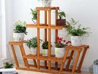 چیدمان گیاهان آپارتمانی