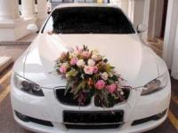 مدل ماشین عروس