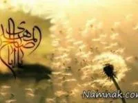 تربیت فرزند