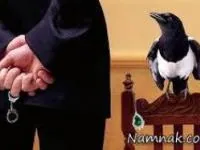 معتاد