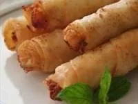 بورک تن ماهی