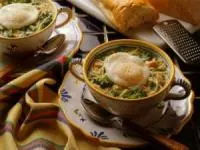 خوراک بابونه