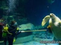  آکواریوم لندن