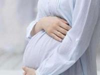 هفته-هشتم-بارداری