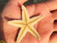 دیدنی های قشم