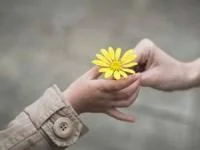 موسسه خیریه