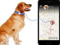 ردیاب حیوانات