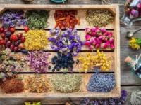 درمانگیاه: فروش داروهای گیاهی و گیاهان دارویی و محصولات طب سنتی