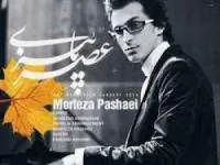  مرتضی پاشایی