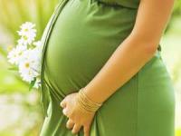 هفته پانزدهم بارداری