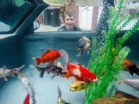 آکواریوم زیبا