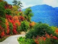 جاذبه های گردشگری سوادکوه