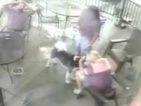 لحظه وحشتناک حمله سگ