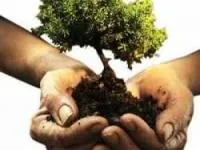 کاریکاتور روز درختکاری