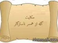حکایت جالب همسر ناسازگار