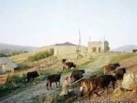 روستای زنانه