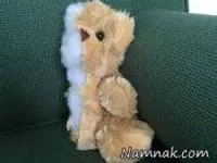 پرداخت مهریه با روشی باورنکردنی