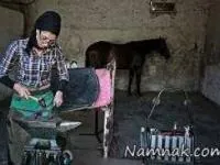 فرناز هاشمی نعلبند ایرانی
