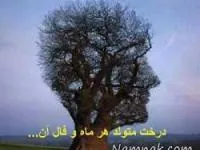 فال درخت