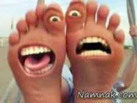 خوک