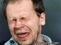 موش مرده داخل ساندویچ