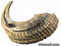 ریشه ضرب المثل 