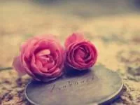 اس ام اس فلسفی