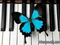 جملات کوتاه