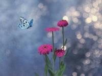 جملات کوتاه