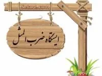 ضرب المثل