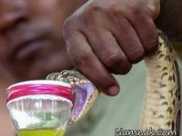 گرانترین مایعات جهان