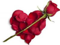 گل های شاخه ای